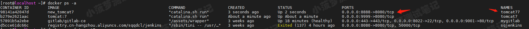 docker-container-port-8