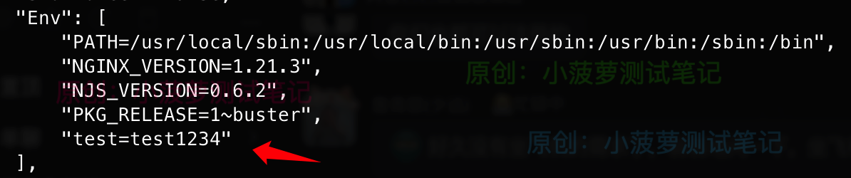 docker-dockerfile-env-1
