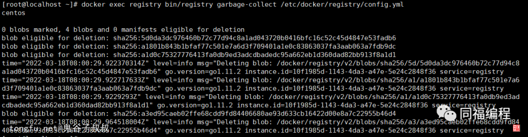 docker-register-delete-images-3