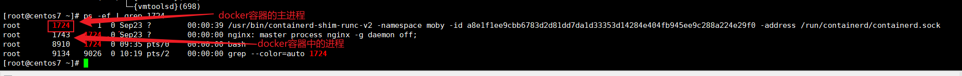 image-20230925022424185