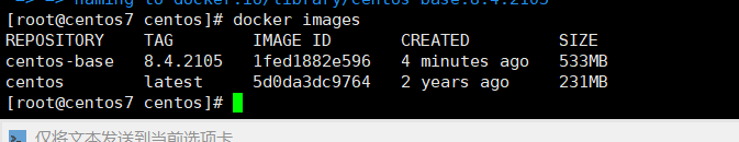 image-20240211160410661