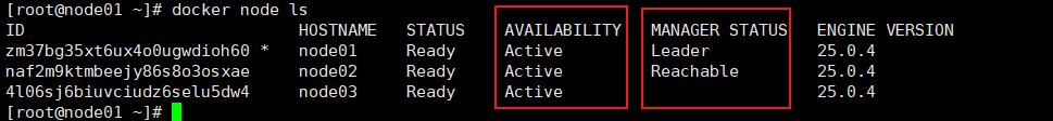 image-20240309182036486