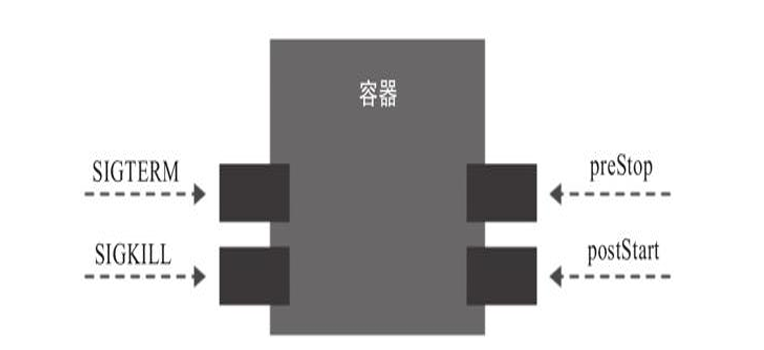 image-20240510191036545