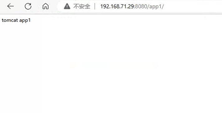 image-20240601204058307