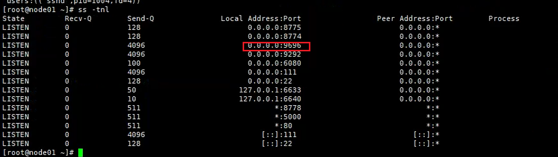 image-20240921034901419