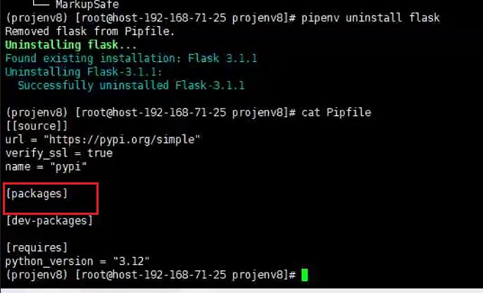 image-20250812002021200