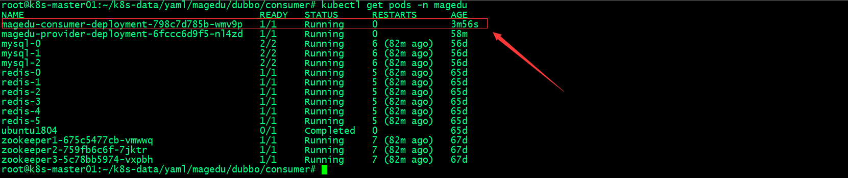 kubernetes-applyation-dubbo-10