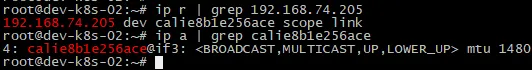 kubernetes-component-calico-27