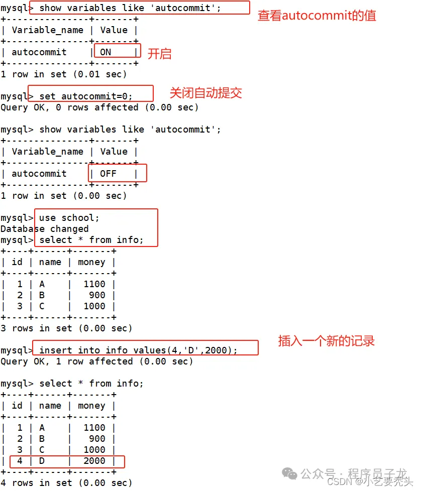 mariadb-transaction-13