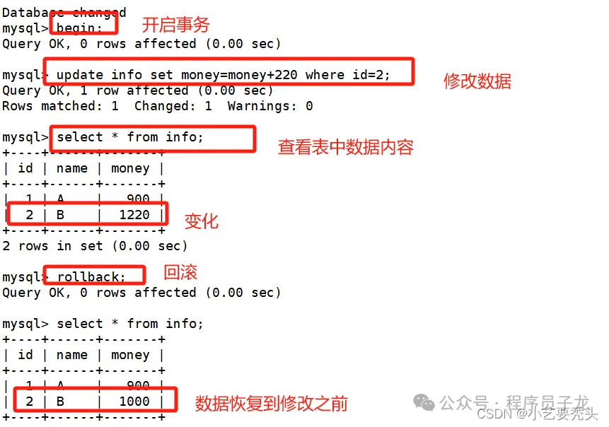 mariadb-transaction-9