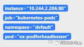 prometheus-kubernetes-sd-configs-6