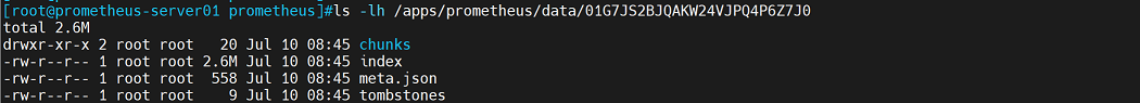 prometheus-storage-4